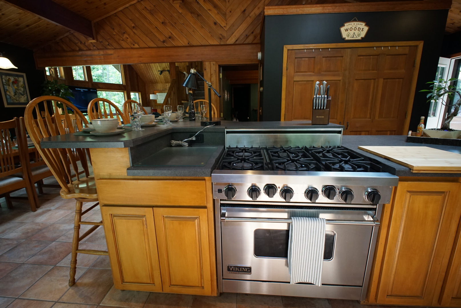 Viking professional range